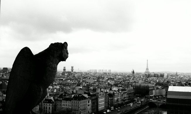 View from the top of Notre Dam
