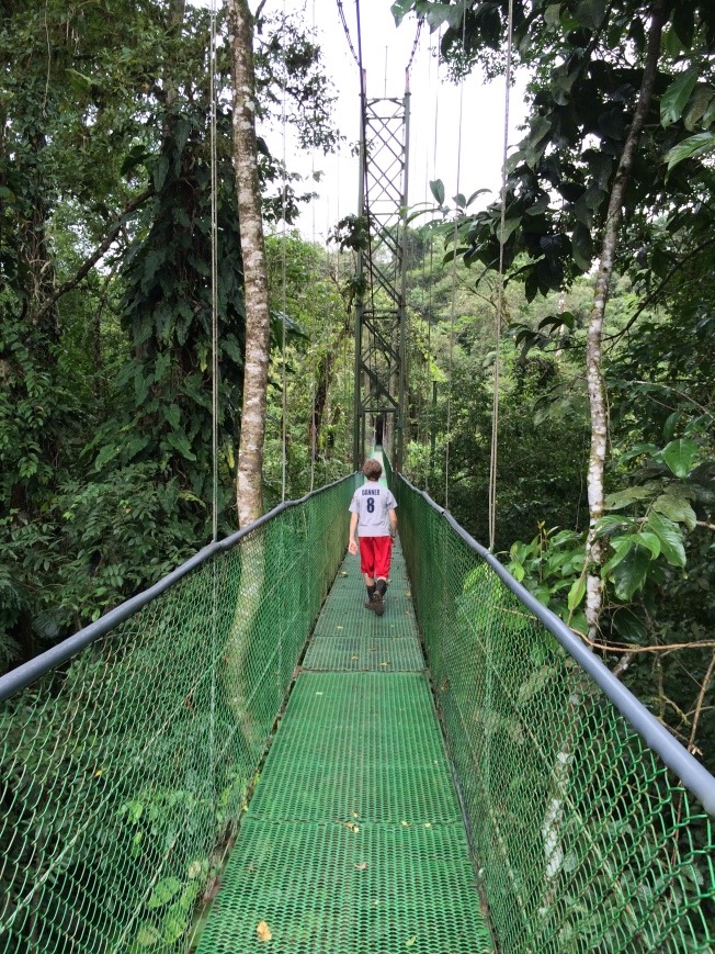 Canopy Bridge, Tirimbina Rainforest, Costa Rica